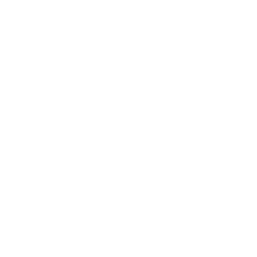 Computer System