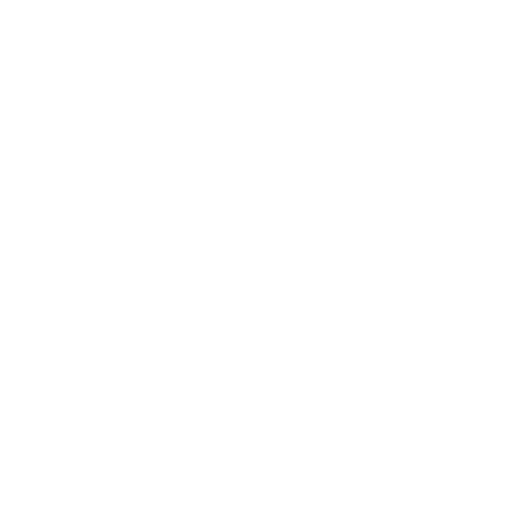 Cyber Security